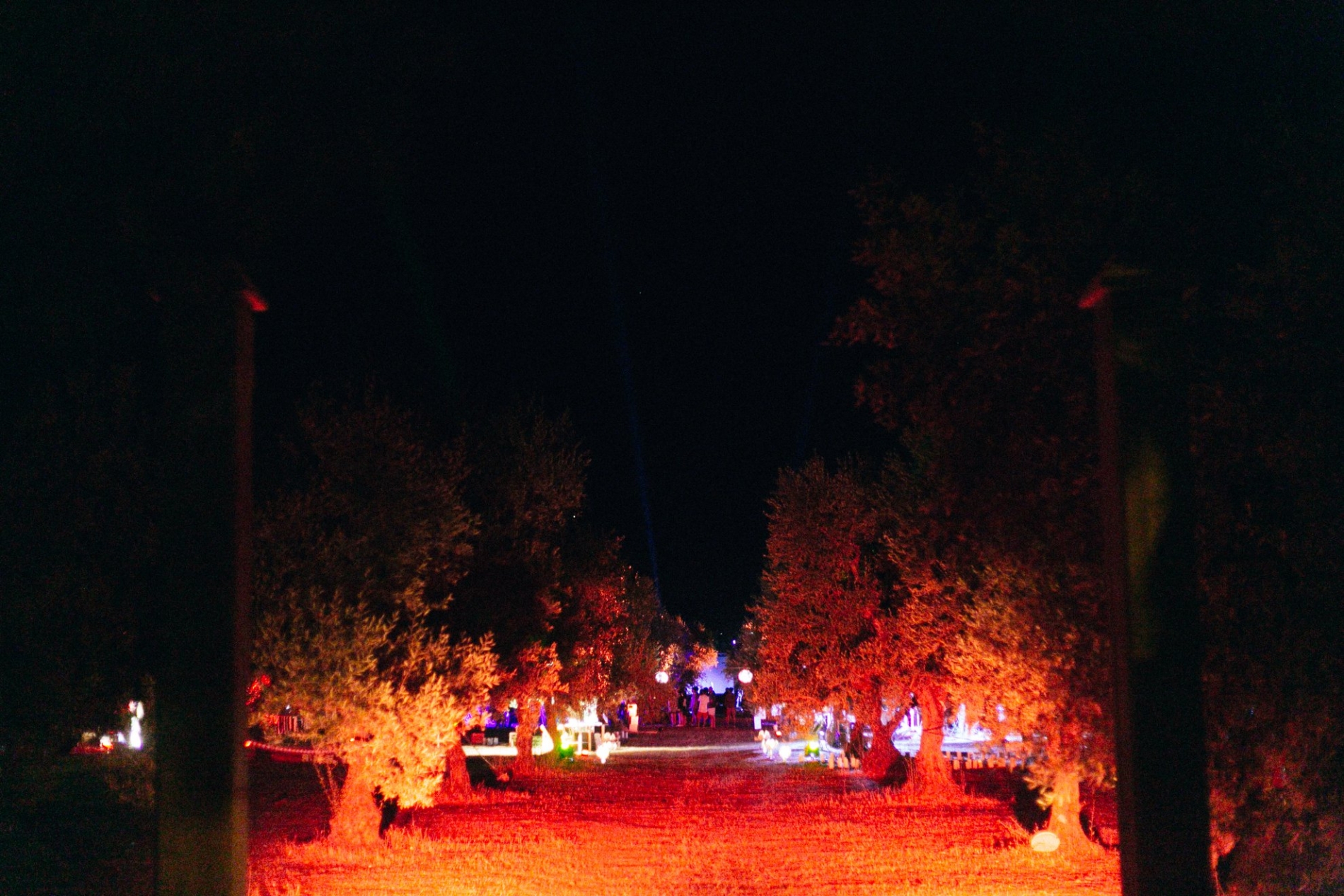 Novemilachilometri for Komorebi 2021